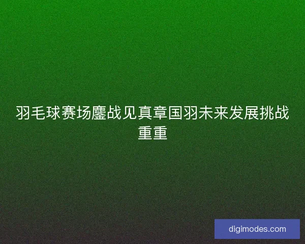羽毛球赛场鏖战见真章国羽未来发展挑战重重