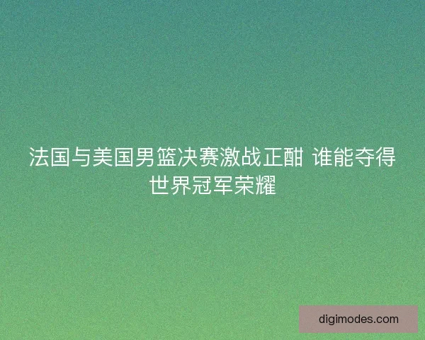 法国与美国男篮决赛激战正酣 谁能夺得世界冠军荣耀